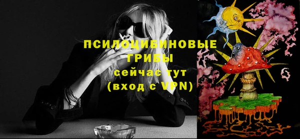 скорость Пересвет