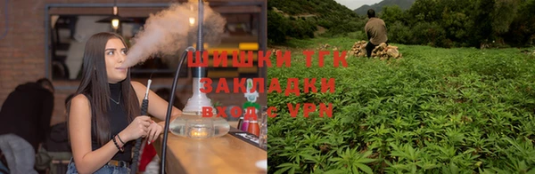 скорость Пересвет