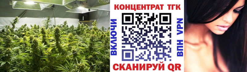 Дистиллят ТГК концентрат Алейск