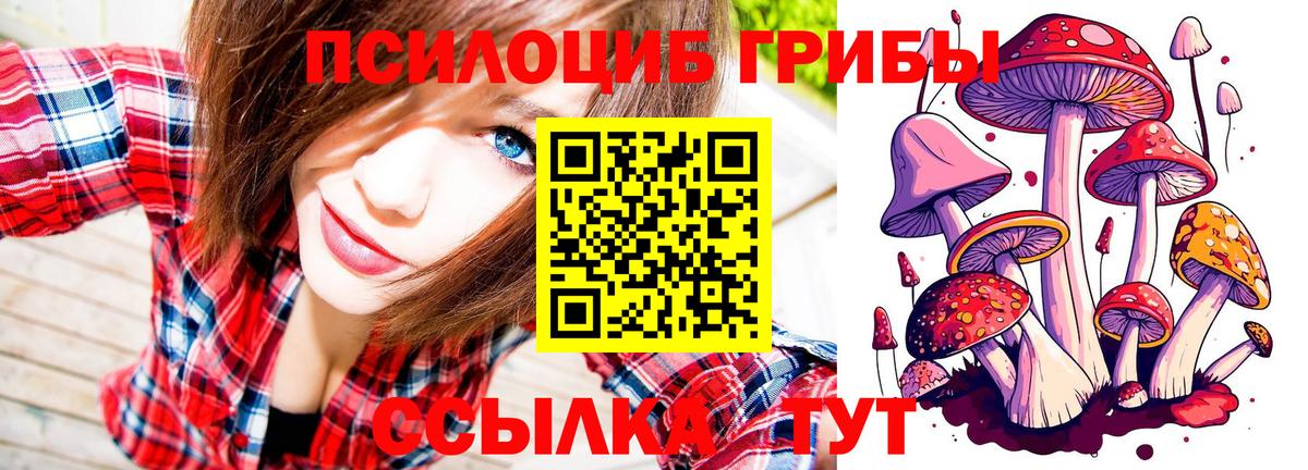 Алейск  Псилоцибиновые грибы Cubensis  Галлюциногенные грибы Psilocybe  Вход с VPN 