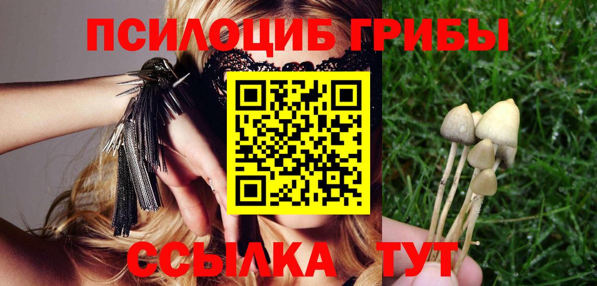 Галлюциногенные грибы Cubensis  Вход с VPN  Алейск 