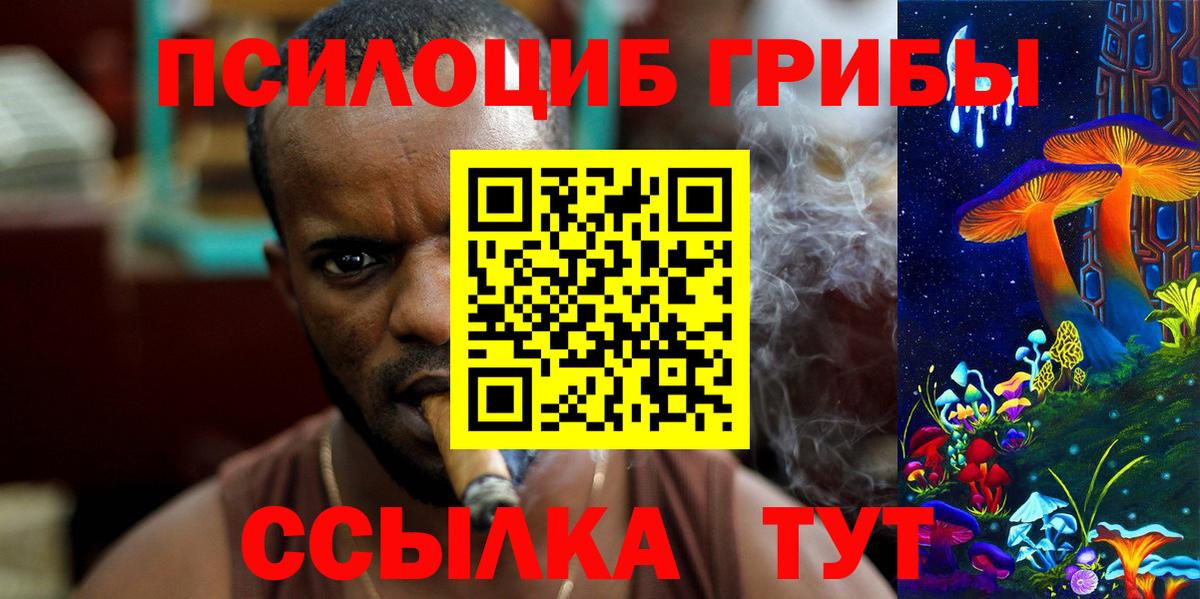 Галлюциногенные грибы Psilocybine cubensis Алейск