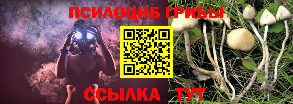 Галлюциногенные грибы MAGIC MUSHROOMS Алейск