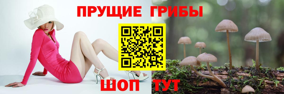 Псилоцибиновые грибы MAGIC MUSHROOMS  Алейск 